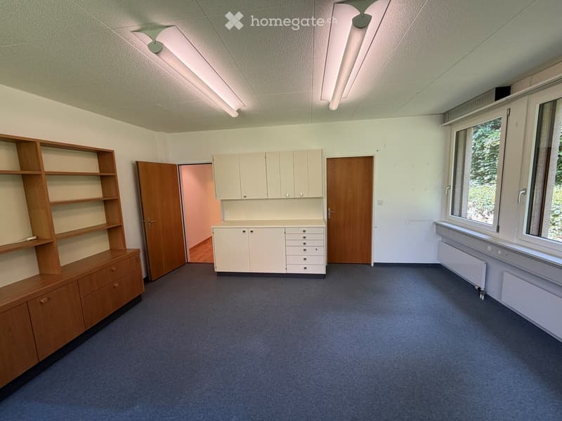 Office or study room with light blue carpet, white walls, and large windows. Includes a wooden cabinet, shelving unit, and a small cabinet with drawers.