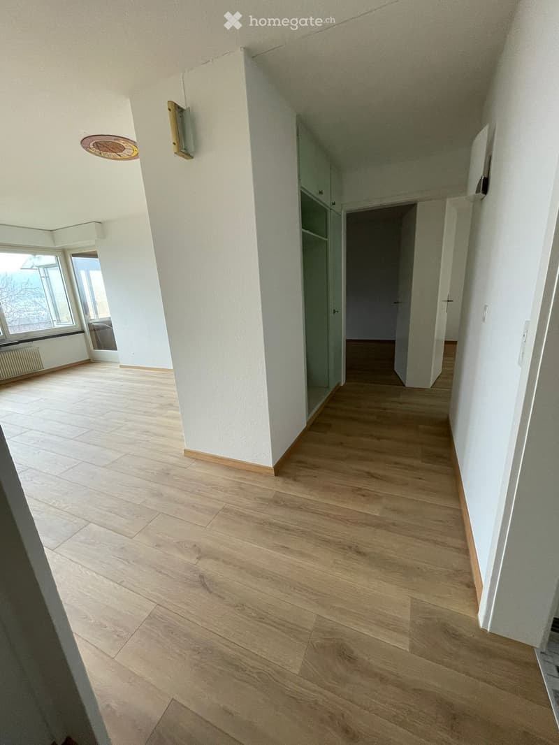 empty room, wooden floor, white walls, closet, hallway