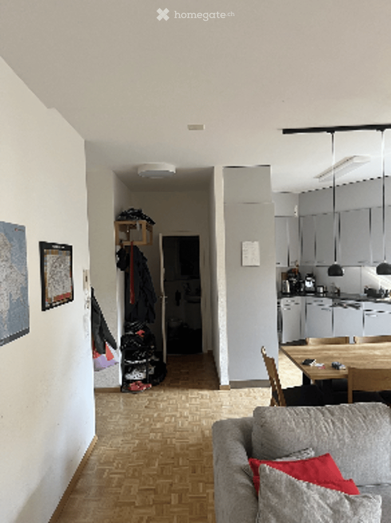 A modern, open-plan living and dining area with a grey sofa, red pillows, a wooden dining table, and kitchen cabinets in the background.