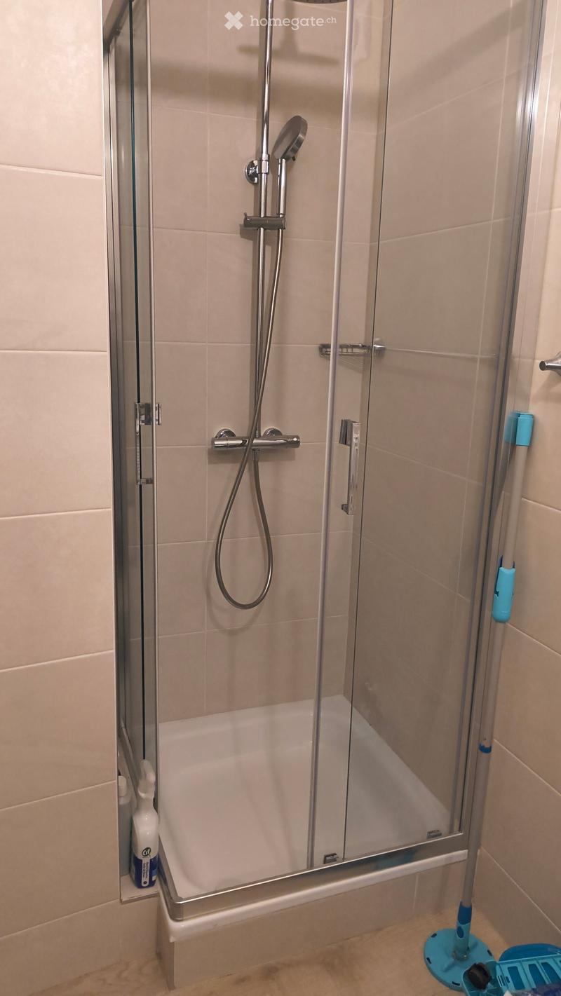 Modern bathroom with a bathtub, glass-enclosed shower, and tiled walls.