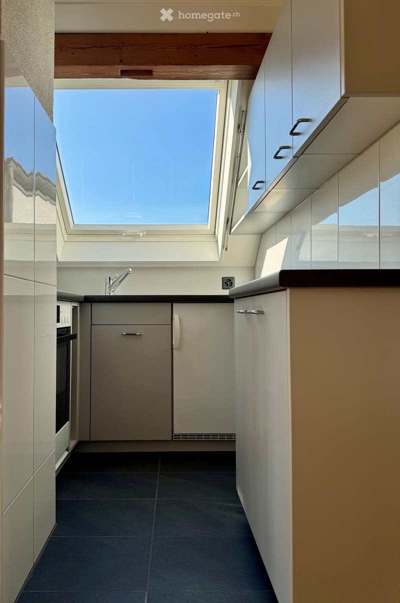 Modern kitchen with sleek white cabinets, dark tiled floor, and a skylight window above the sink.