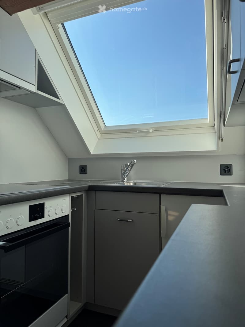 Compact kitchen with modern stainless steel appliances, including an oven and sink, fitted with sleek grey cabinets and a skylight window above.