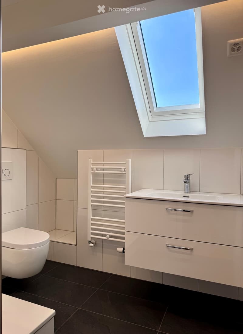 Modern bathroom with a toilet, sink, and cabinet, featuring a radiator and a skylight window.