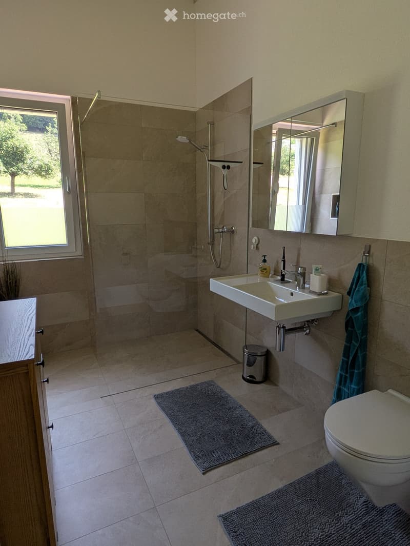 Modern bathroom with a large sink, mirror, toilet, shower, and two rugs on the floor.