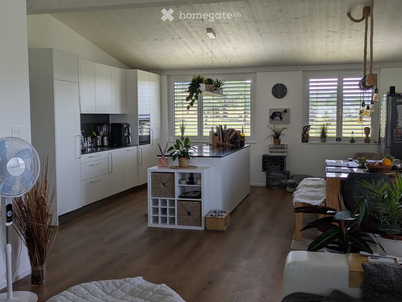 Modern open-plan living and kitchen area with white cabinets, a central island, a sofa, a coffee table, and various decorative items including potted plants and a fan.