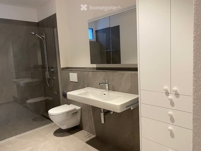 Modern bathroom with a white sink, chrome faucet, large mirror, toilet, and a glass-enclosed shower area.