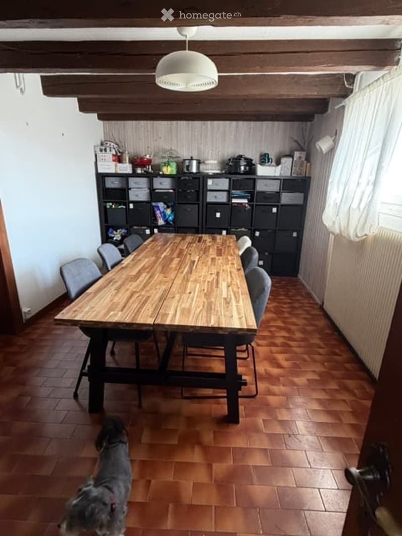 Dining area with a large wooden dining table and chairs, storage unit with kitchen appliances, and a dog in the foreground.