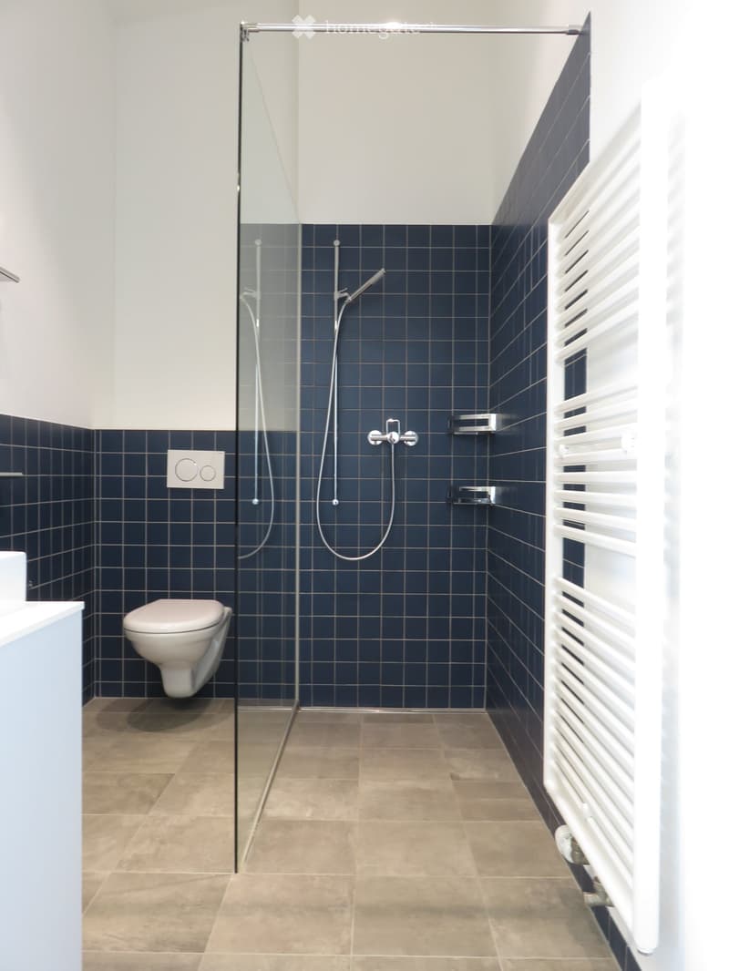 Modern bathroom with dark blue tiles, glass-enclosed shower, toilet, and a white radiator.