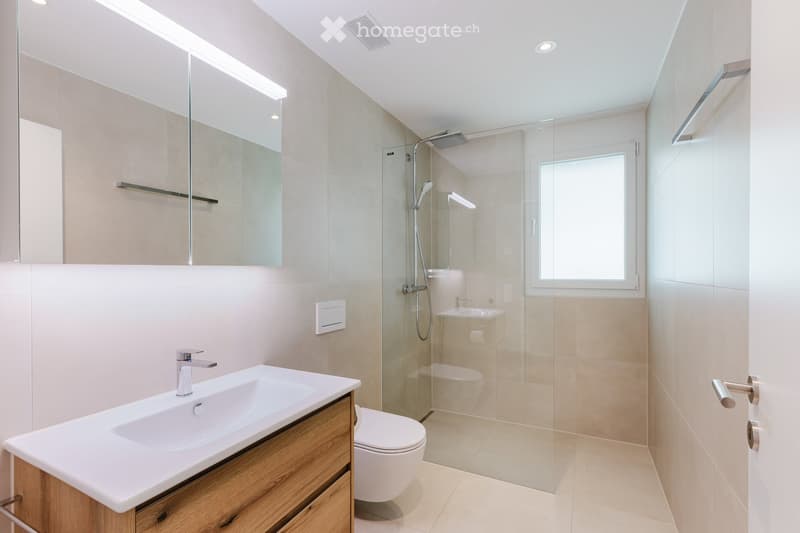 Modern bathroom with a large mirror, a sink with a wooden cabinet, a toilet, and a glass-enclosed shower area with a showerhead and handheld sprayer.