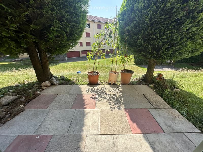Garden area with a paved patio, potted plants, trees, and a building in the background.