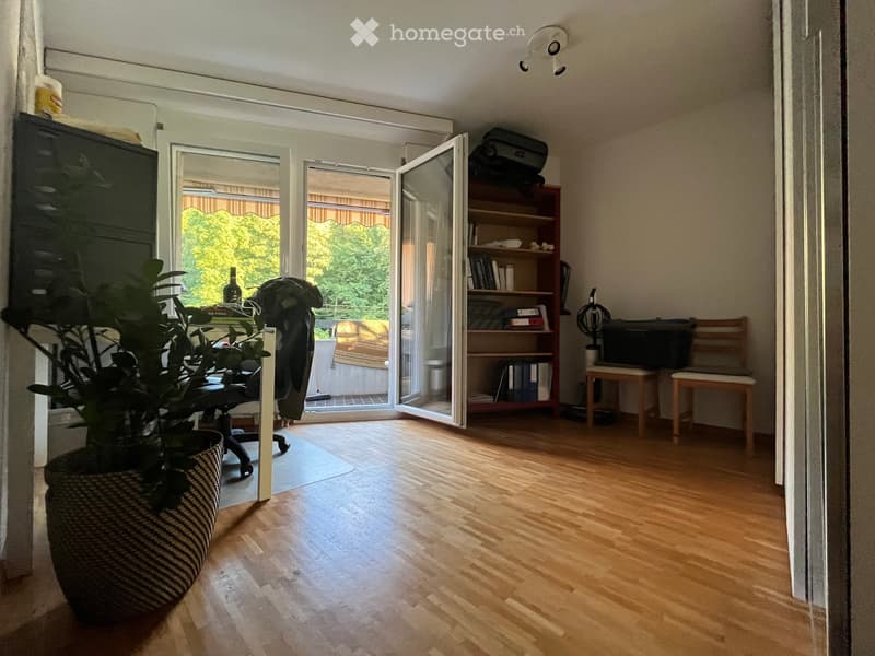 Bright room with wooden flooring, large sliding glass doors leading to a balcony, a bookshelf, a chair, a table, and a large potted plant.
