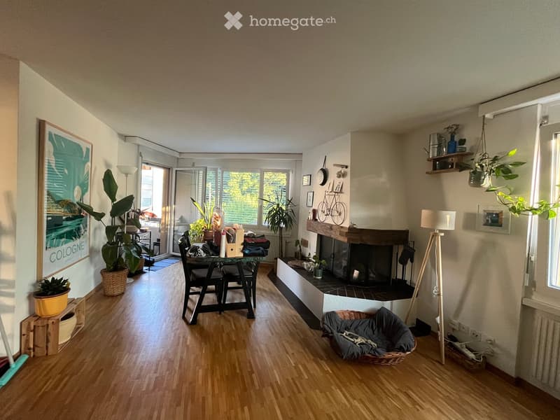 A well-lit living room with wooden flooring, a fireplace, a dining table with chairs, and several potted plants. There is a floor lamp, a picture frame on the wall, and a shelf with decorative items.