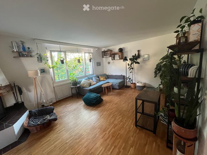 Bright living room with wooden flooring, large windows, a blue sofa, coffee table, floor lamp, potted plants, shelves, and a pet bed.
