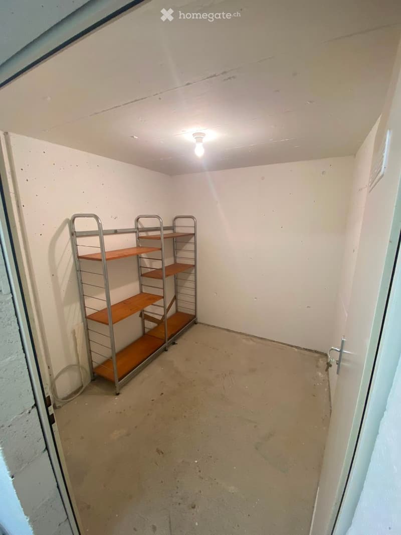 Empty room with concrete floor, white walls, and a set of metal shelves with wooden boards.