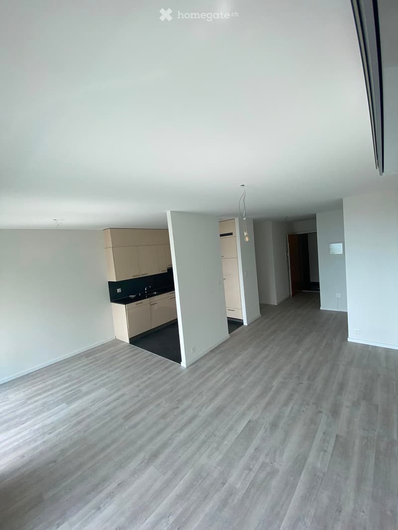 Empty room with light grey walls and light grey wood flooring. A small kitchen area is visible with cabinets and a sink, but no furniture is present in the main space.