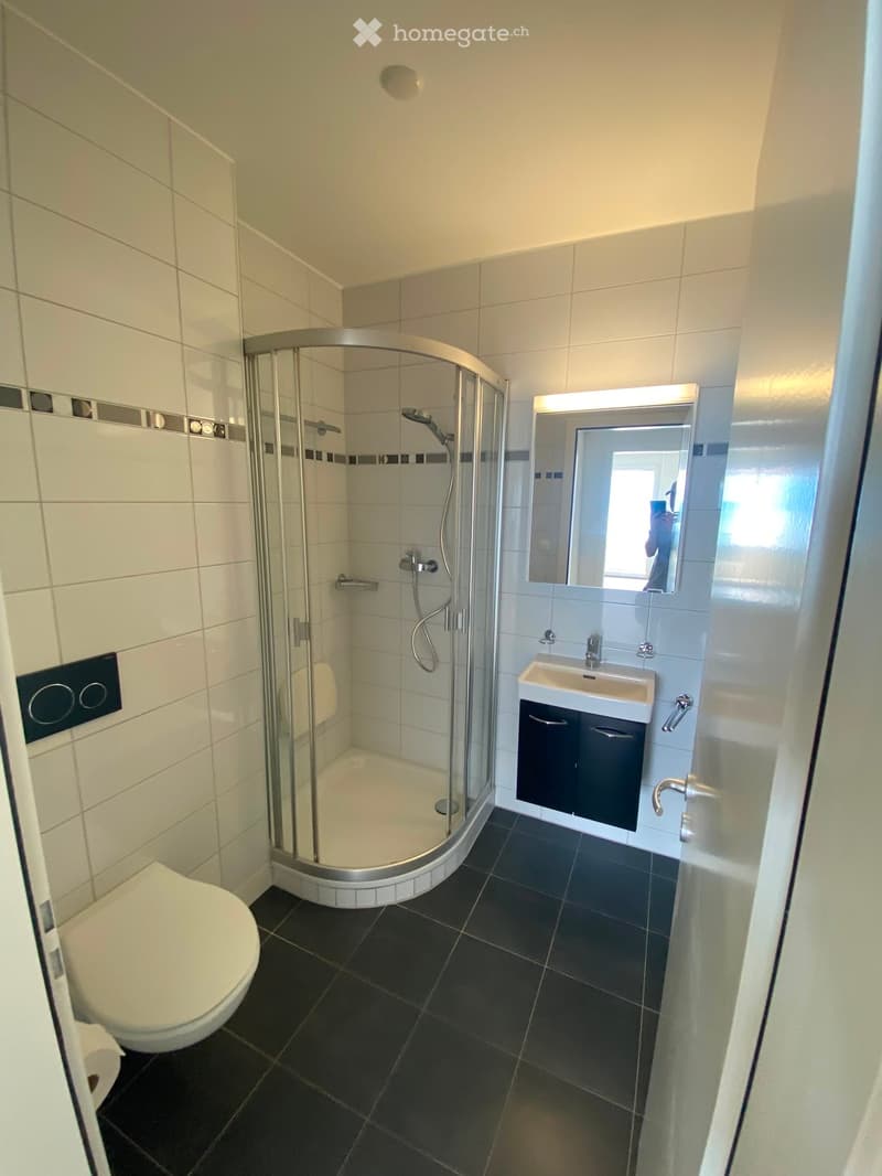 Modern bathroom with a round shower enclosure, toilet, sink with cabinet, and a large mirror above the sink.