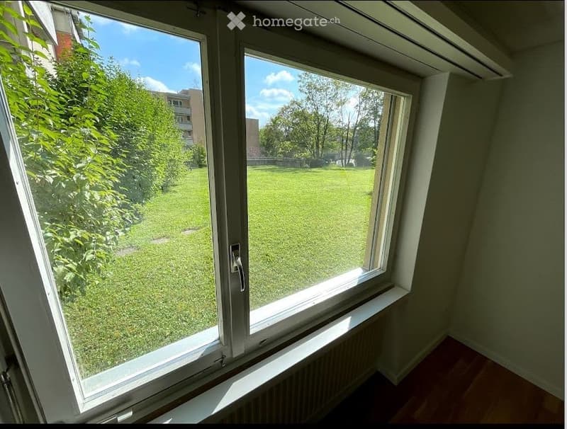 Empty room with large window overlooking a green lawn and trees, wooden floor, radiator below window.