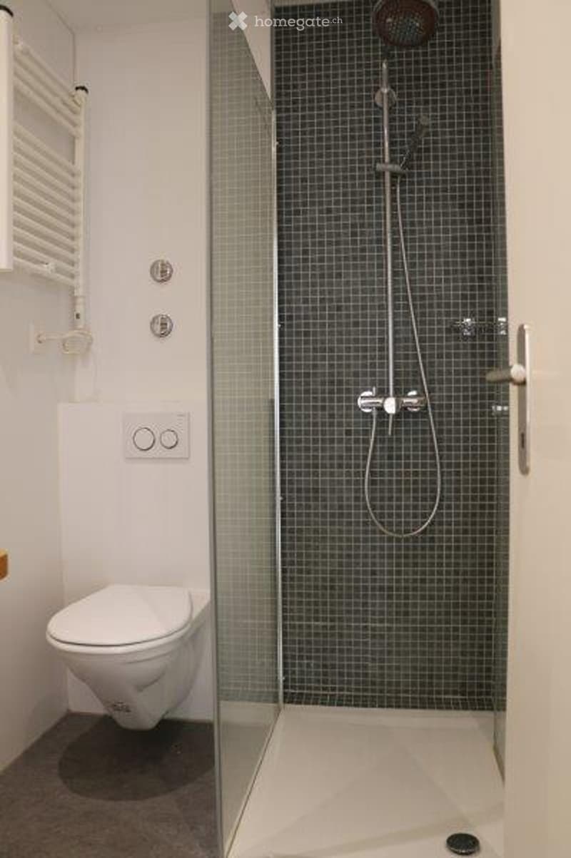 small shower, white walls, white toilet, white tiles, silver showerhead, towel rack, small power outlet
