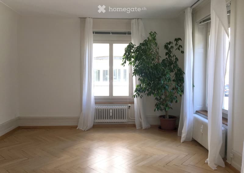 Empty room with wooden flooring, white walls, large window with white curtains, radiator, and a potted plant in the corner.