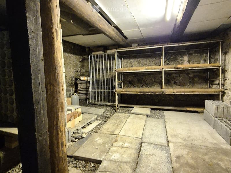 Unfurnished basement or storage area with stone walls, concrete floor, metal shelving, and a small metal cage. No furniture or personal items present.