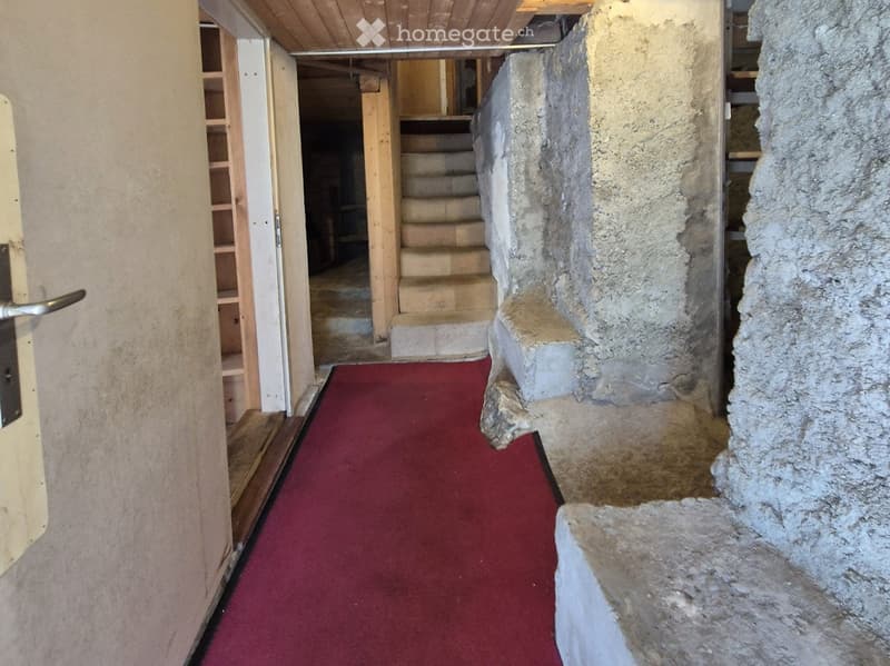 A narrow corridor with a red carpet, stone walls, and a staircase leading upwards.