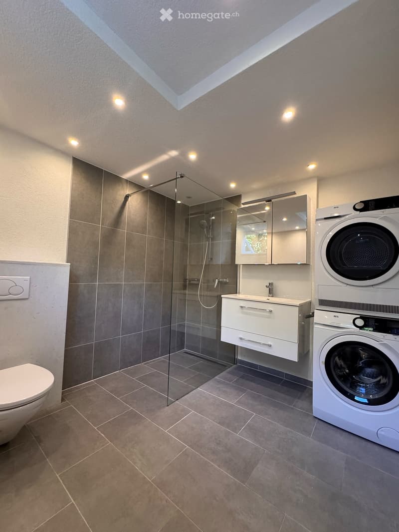 Modern bathroom with a glass-enclosed shower, white sink with mirror, toilet, and a stacked washing machine and dryer unit.