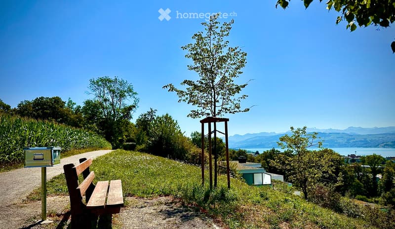 A scenic outdoor area with a wooden bench, lush greenery, and a panoramic view of a lake and distant mountains.
