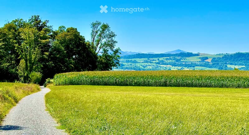 A peaceful rural landscape with a gravel path leading through a green field, surrounded by tall trees and distant hills under a clear blue sky.