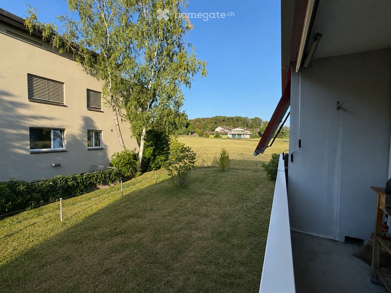 A well-maintained garden area with a grassy lawn, a tree, and a house with windows and a balcony in the background.