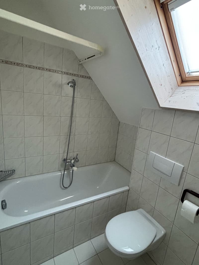 Helle, charmante 2.5-Zimmer-Dachwohnung in Zürich Albisrieden (5)