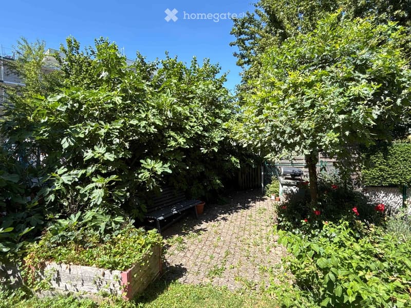 A lush garden with a gravel pathway, wooden bench, raised garden bed, and barbecue area surrounded by trees and flowering plants.
