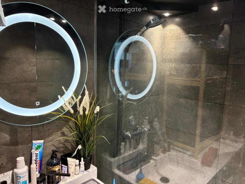 Modern bathroom with a sleek, illuminated round mirror, a glass shower enclosure, and a countertop with various toiletries and a small plant.