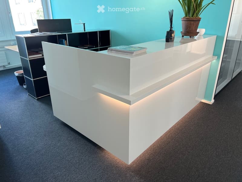 White reception desk with a curved front, LED lighting, a potted plant, and books on top