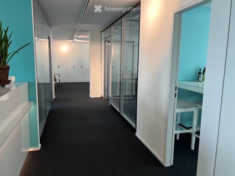 Empty hallway with glass walls, black carpet, white walls, blue accent wall, white cabinets, potted plant, white stools, bottles on counter