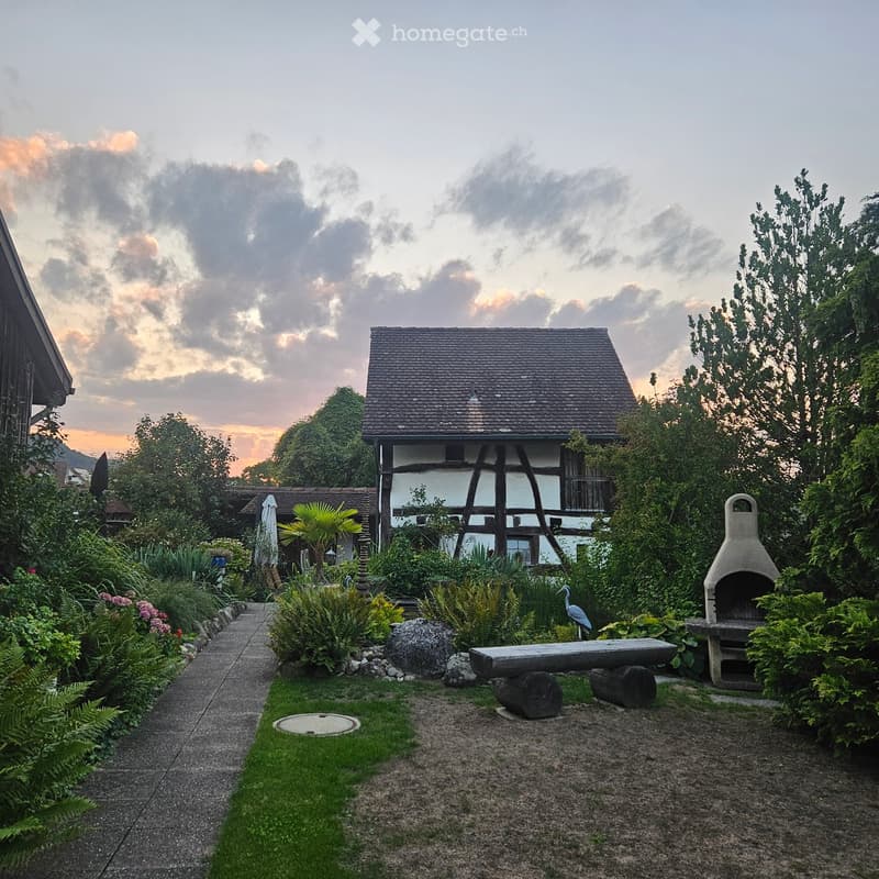 Garden with a stone bench, a bird, a grill, and lush greenery, leading to a traditional house with a tiled roof.