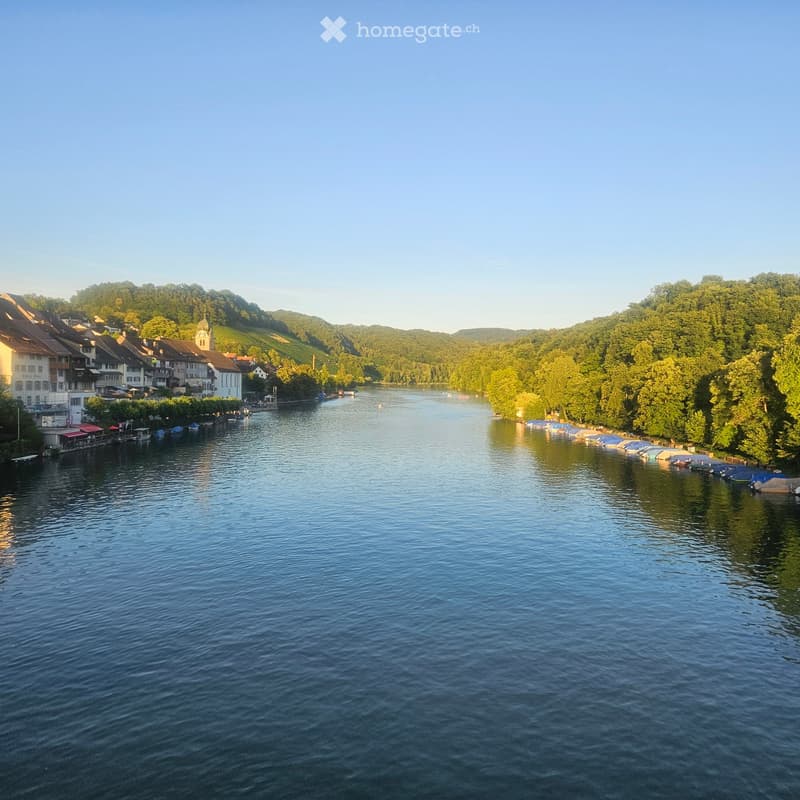 A serene river view with calm water, surrounded by lush green trees and hills, with buildings and boats along the riverbanks.