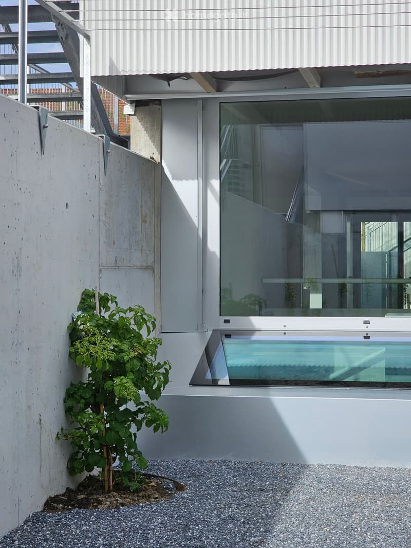 Modern building exterior with a small garden area featuring a young plant, gravel ground, and large glass windows.