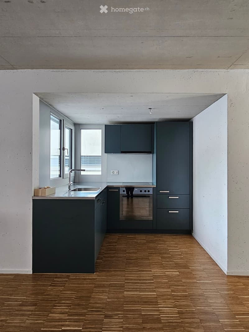 Modern kitchen with dark grey cabinets, stainless steel sink, and wooden flooring.