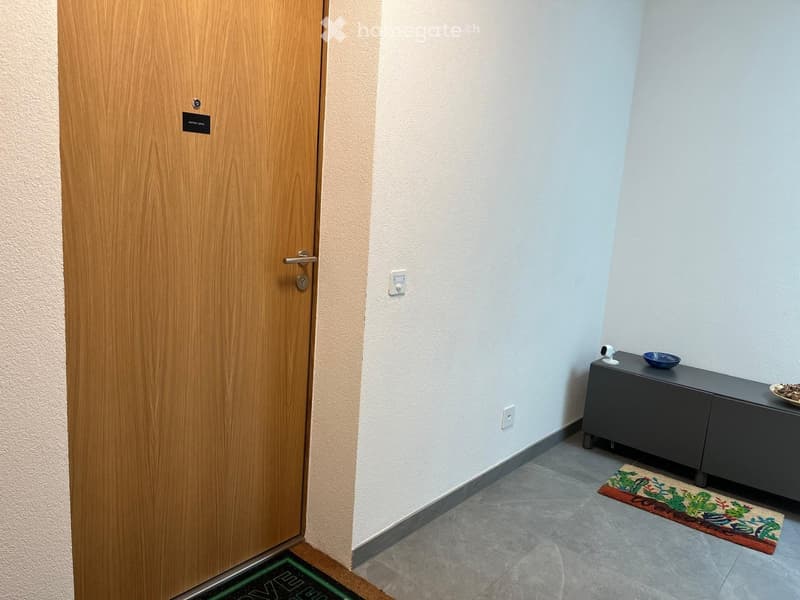 A small, clean entryway with a wooden door, a grey cabinet with a bowl on top, and a decorative rug on the floor.
