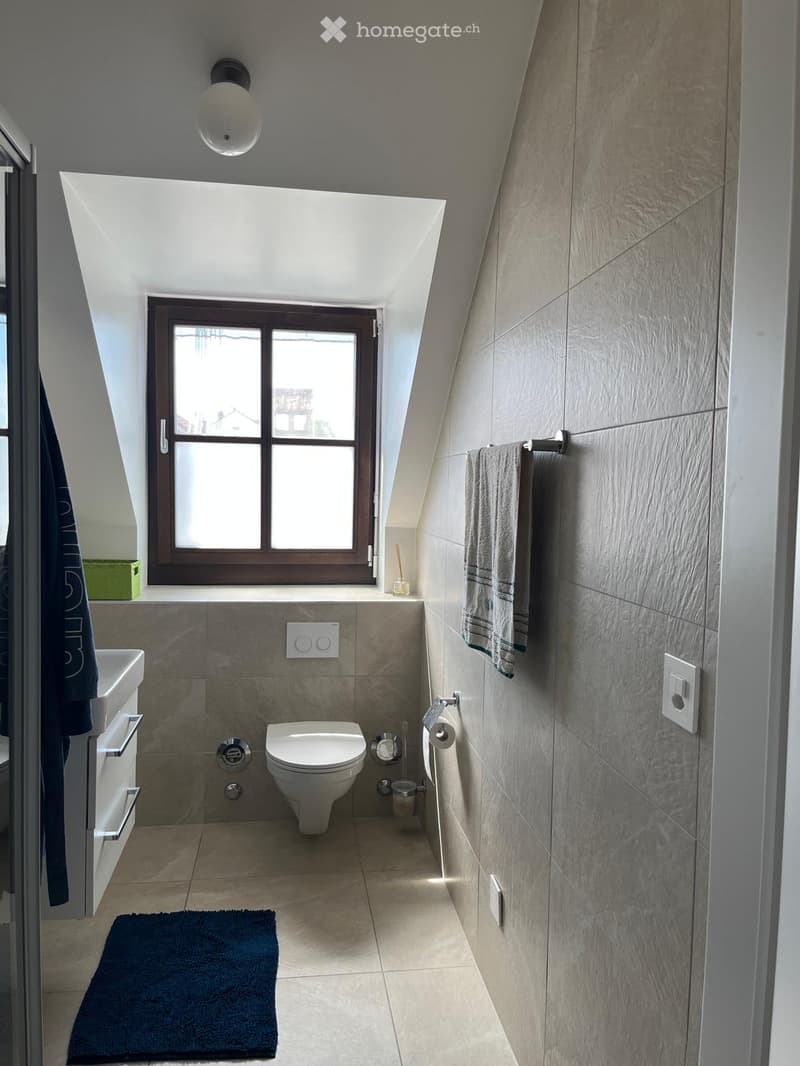 Modern bathroom with a toilet, sink, towel, toilet paper holder, and a window with a view.