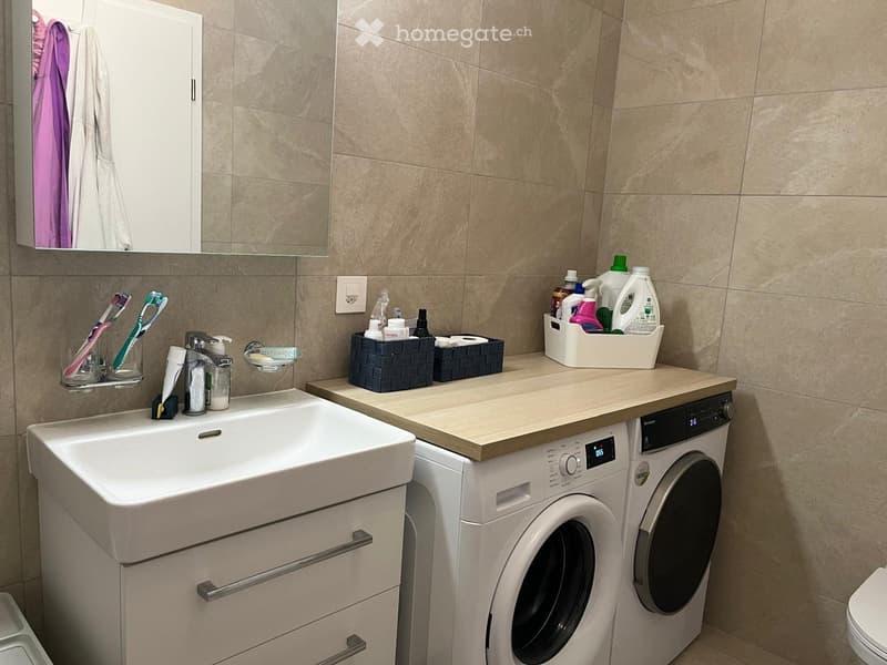 Bathroom with a sink, washing machine, and dishwasher. The sink has a faucet, toothbrushes, and toothpaste. A mirror is mounted above the sink, and a towel hangs on the side. Cleaning supplies are placed on a wooden countertop.