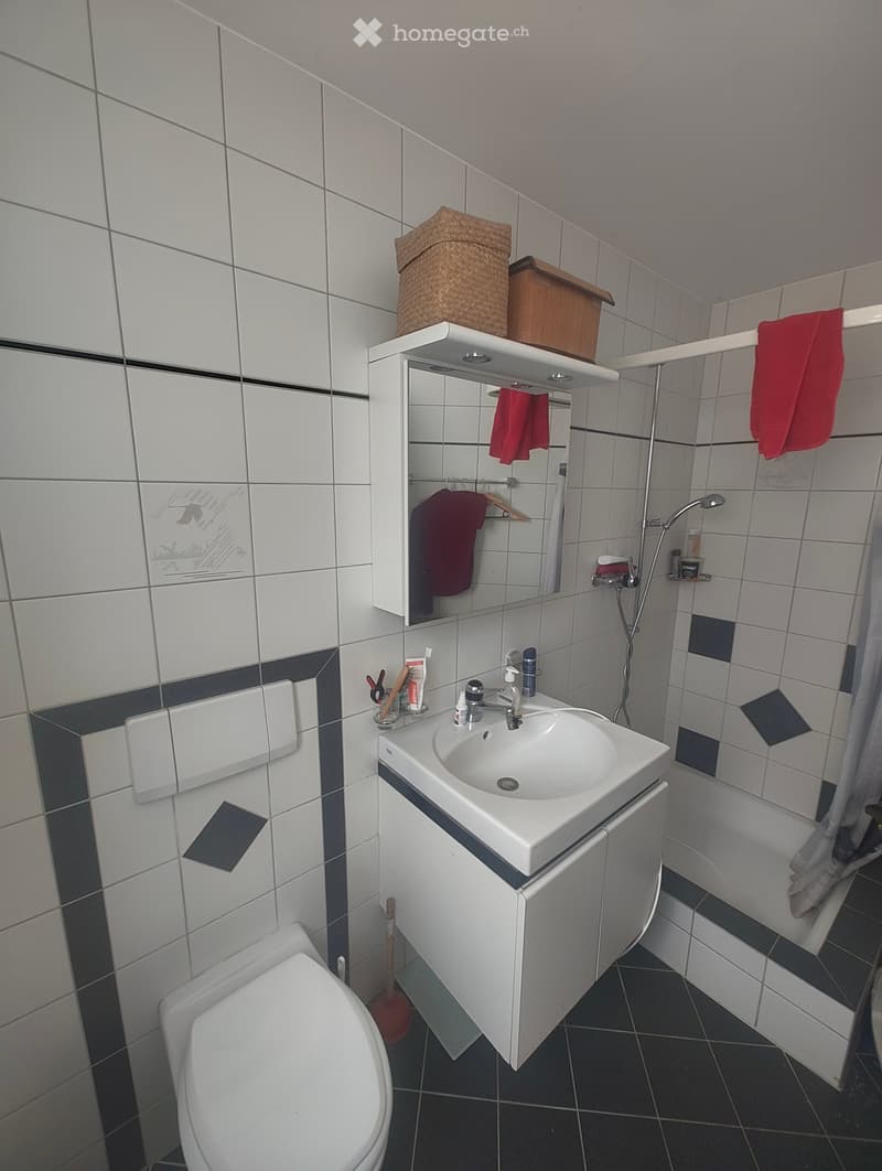 Modern bathroom with white tiles, a sink with a cabinet, a toilet, a shower area, and a mirror with a shelf holding a basket and a wooden box. Red towels are hanging on the side.