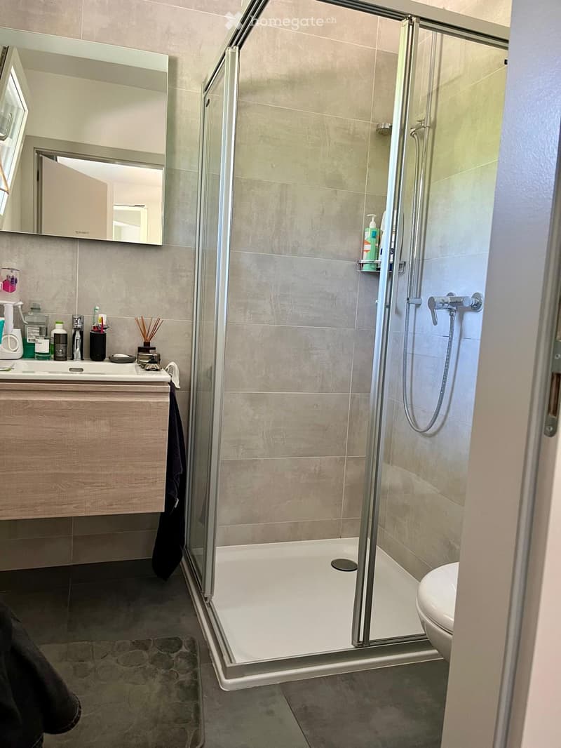 Modern bathroom with a glass-enclosed shower, a white sink with a wooden cabinet, a mirror, and a toilet. The shower has a handheld sprayer and a built-in shelf holding toiletries.