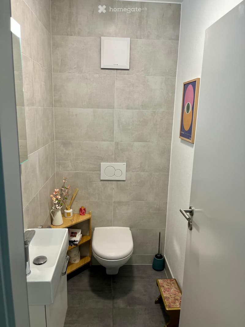 Modern bathroom with a toilet, sink, and small wooden shelf holding decorative items. Grey tiled walls and a small rug on the floor.