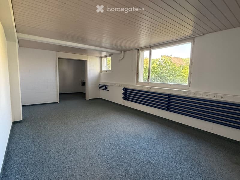 Empty room with grey carpet, white walls, and a blue radiator. There is a doorway leading to another space and a window with a view of greenery outside.