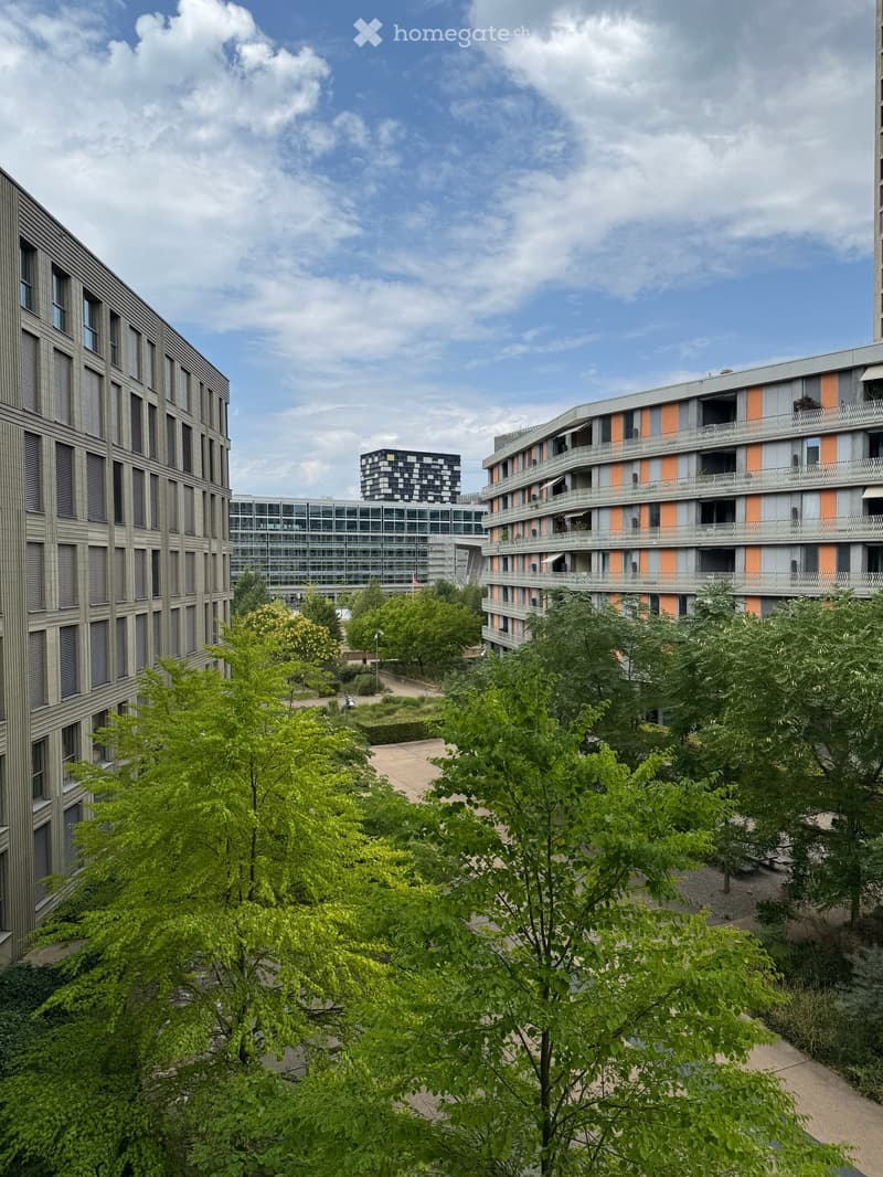 Moderne 4.5-Zimmer-Wohnung im Eigentumsstandard in Zürich West (10)