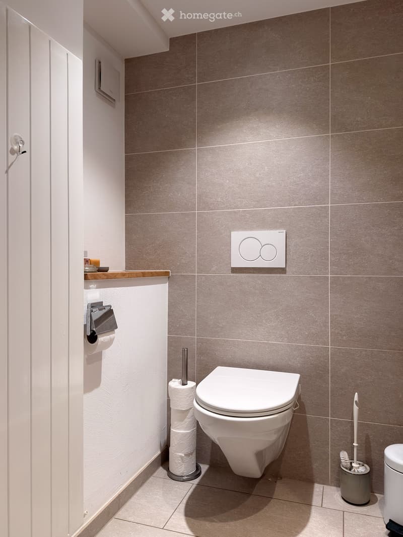 Modern bathroom with a toilet, toilet paper holder, toilet brush, and a small shelf with toiletries.