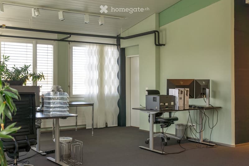 Office space with two desks, chairs, computer screens, printer, fan, and a potted plant near the window.