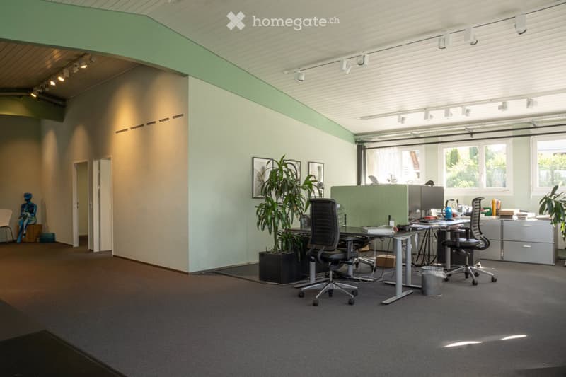 Modern office space with grey carpet, white walls, large windows, desks, chairs, computer screens, potted plants, and framed artwork.