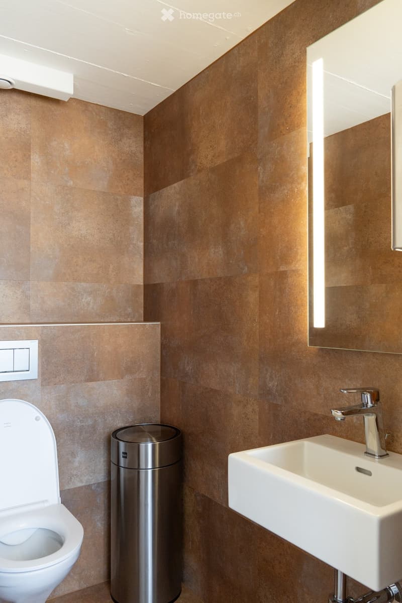 Modern bathroom with brown tiled walls, a white toilet, a white sink with a chrome faucet, a large mirror, and a stainless steel trash can.